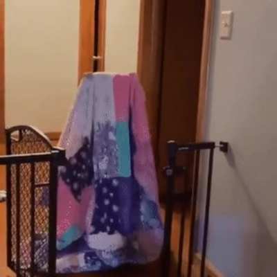 Wonderfully executed magic trick