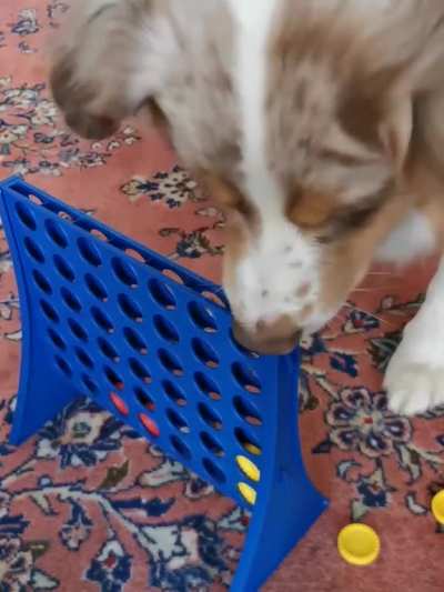 Thanks, I love this dog