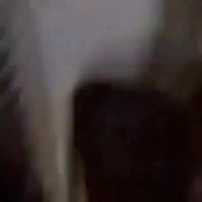 sliding down stairs