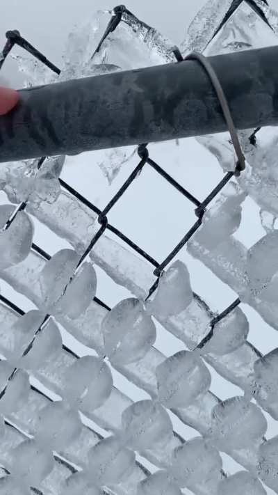 How freezing ice fog made perfect ice cubes on my fence.