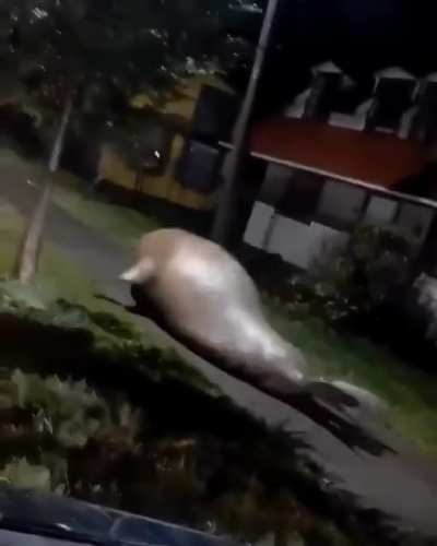 son wtf is goin on in Florida??