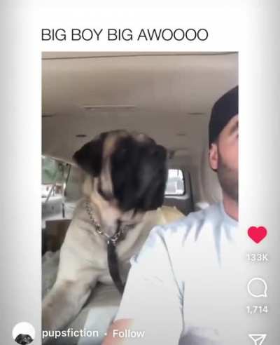 He did his best