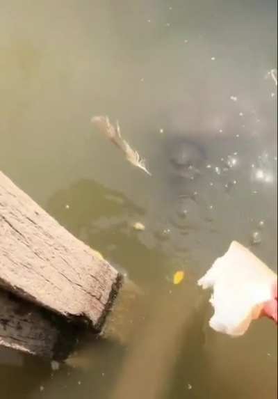 Wasn’t expecting that