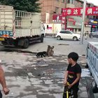 I have 0 words to describe that
