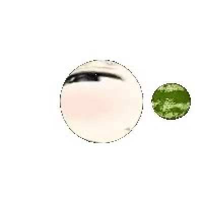 Wata and Melon
