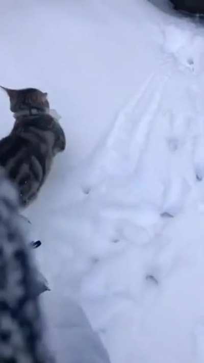 Snow Depth Measurement
