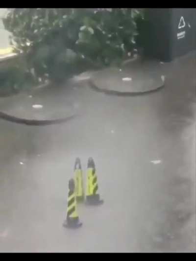 Fantasia IRL?