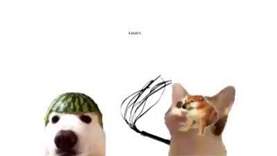 MLK