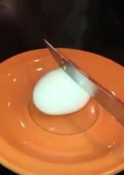 Egg