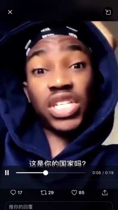 支持改进小黄人血统
