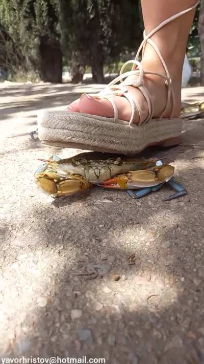 Girl crush crabs