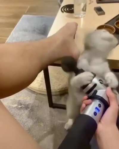 Give me a turn
