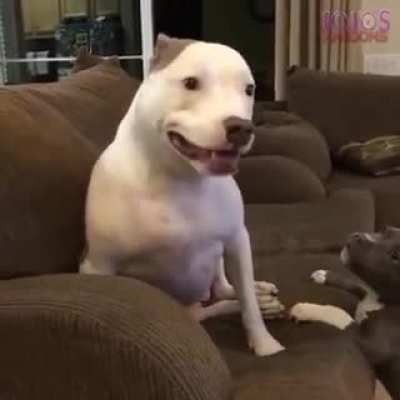 Awwwww look he’s smiling 🥰 (Minor Jumpscare/Earrape Warning)