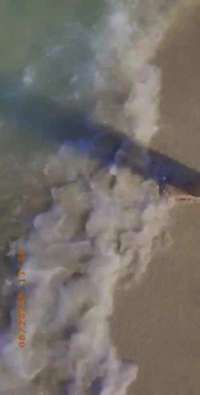 Draya Logan Nude Beach