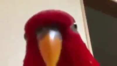 Title