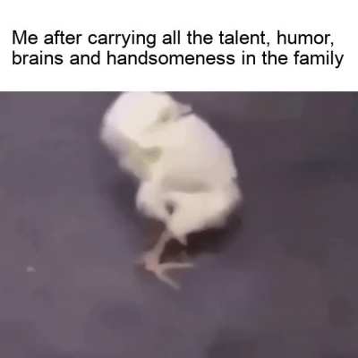 It's a hard life you know