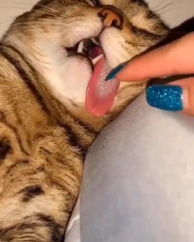 Здоро<wbr>вый крепкий сон
