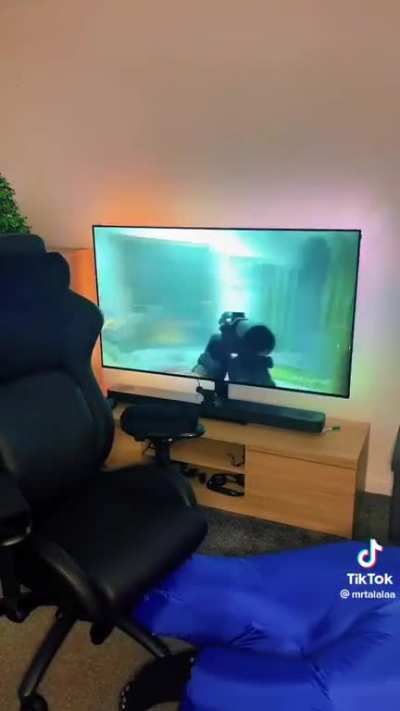 What the Hell is this shit?