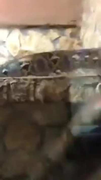 Wordington snake