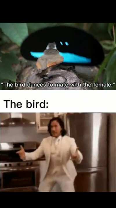 Pee pee goes brr brr