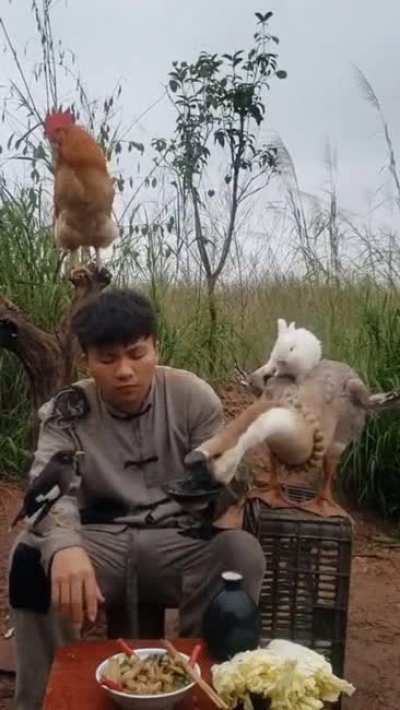 Лето в деревне