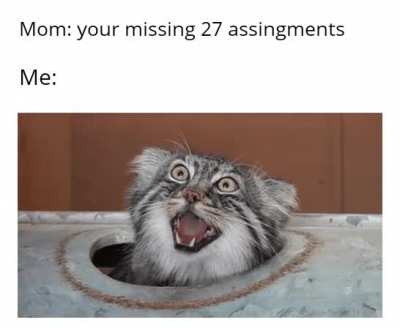 How could this have happened