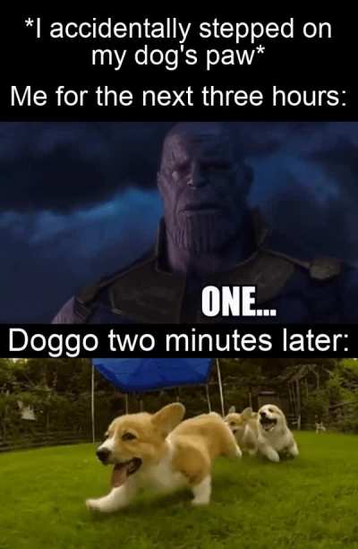 I'm the lowest scum in history