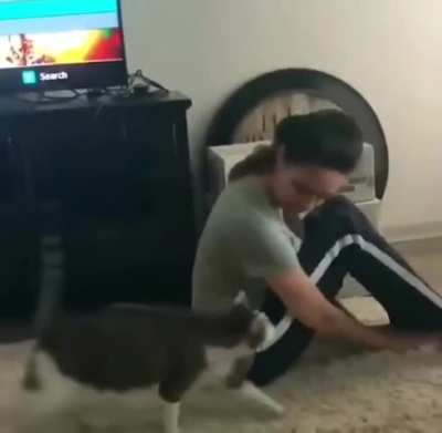 Copy Cat