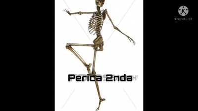 Espero que les guste