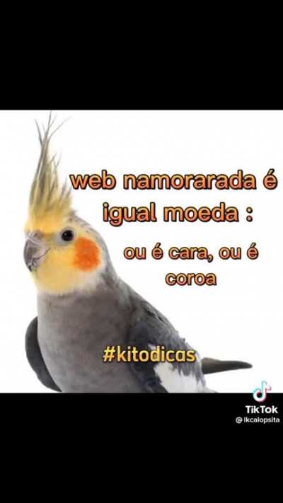 Web namoro