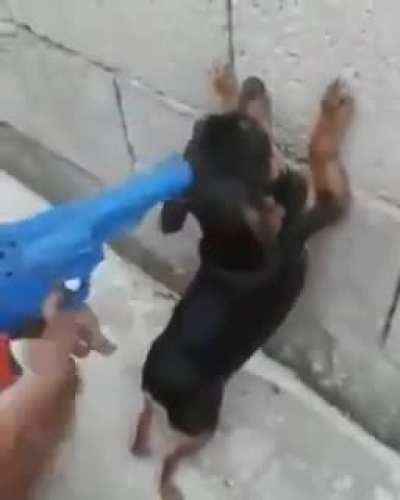 Encañonaron a mi pana