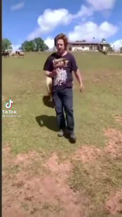 nunca confie em ovelhas