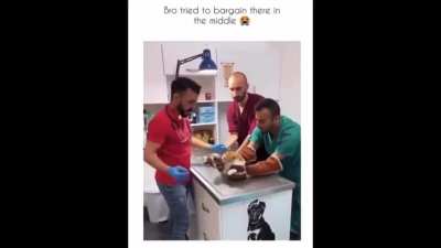 This cat was not having it! lol