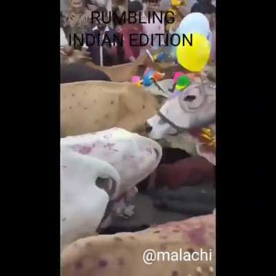 As an Indian I give you this gem