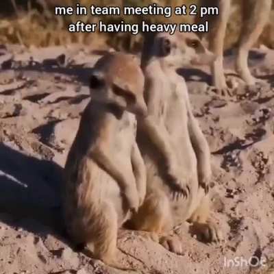 Me_irl