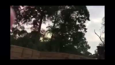 Made with IMovie