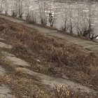 3 kids floating down a river on an ice shell
