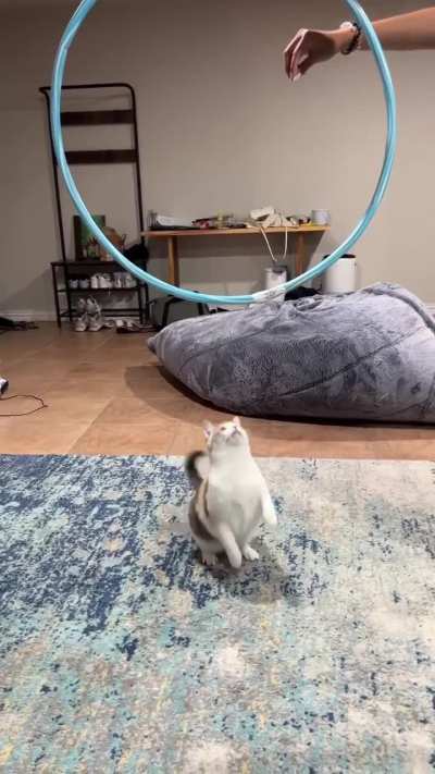 Panko jumps 🥹