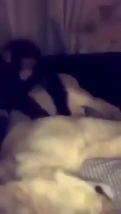 F para o mamacu