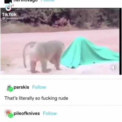 Æ