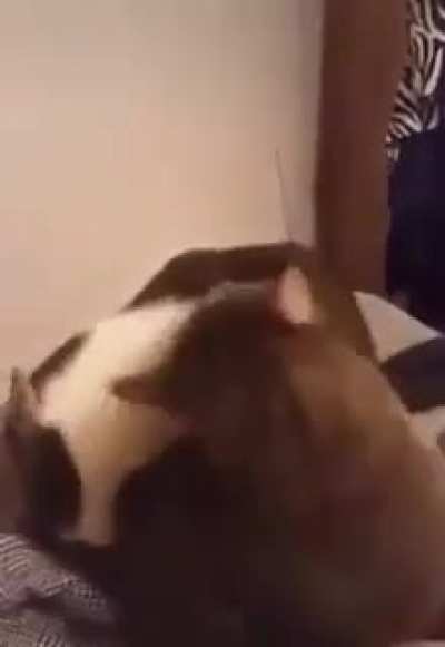 dunno if this counts but it made me laugh thats for sure