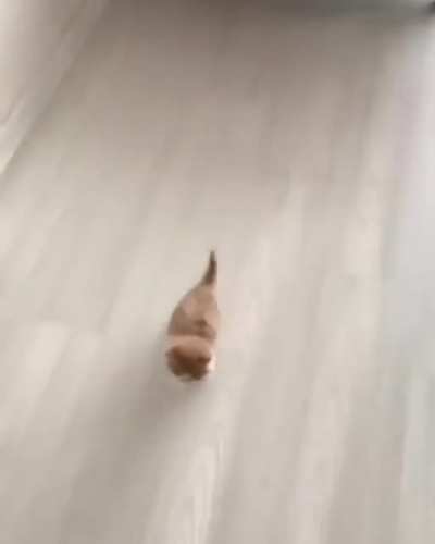 Criminal doing an escape!