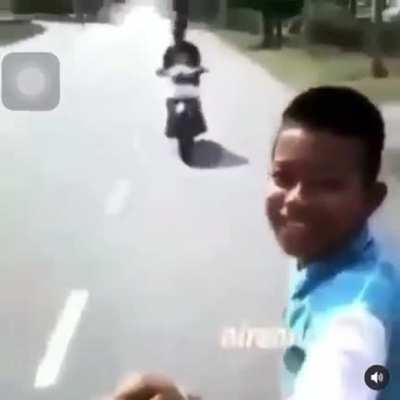 Boii flew away.