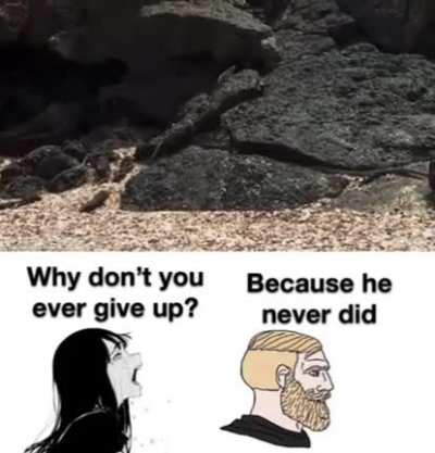 Something to cheer up pepole on dis sub