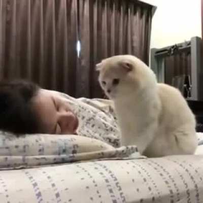 Friend sleeping now