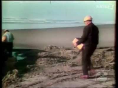 WCGW trying to blow up a whale carcass?