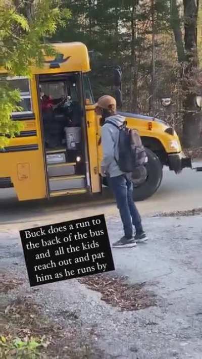 Buck just wants to say hi to all the kids on the bus...