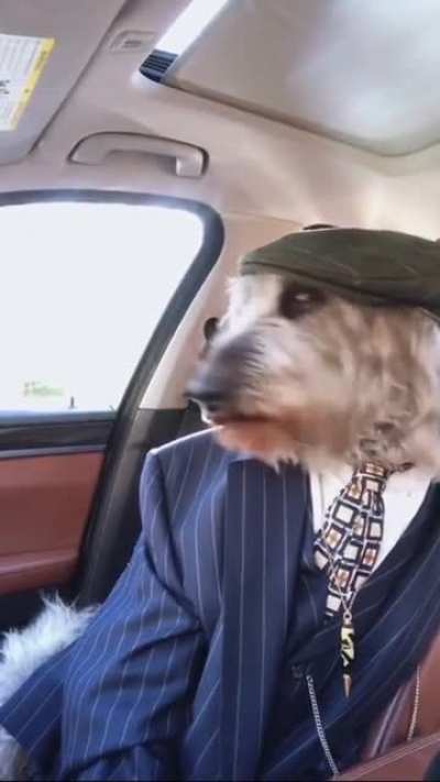 Gentlemen