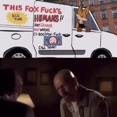 Hot Fox