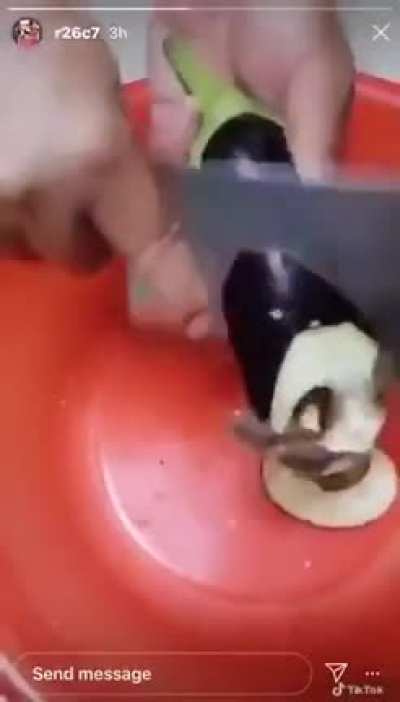 Thanks i hate infested eggplants